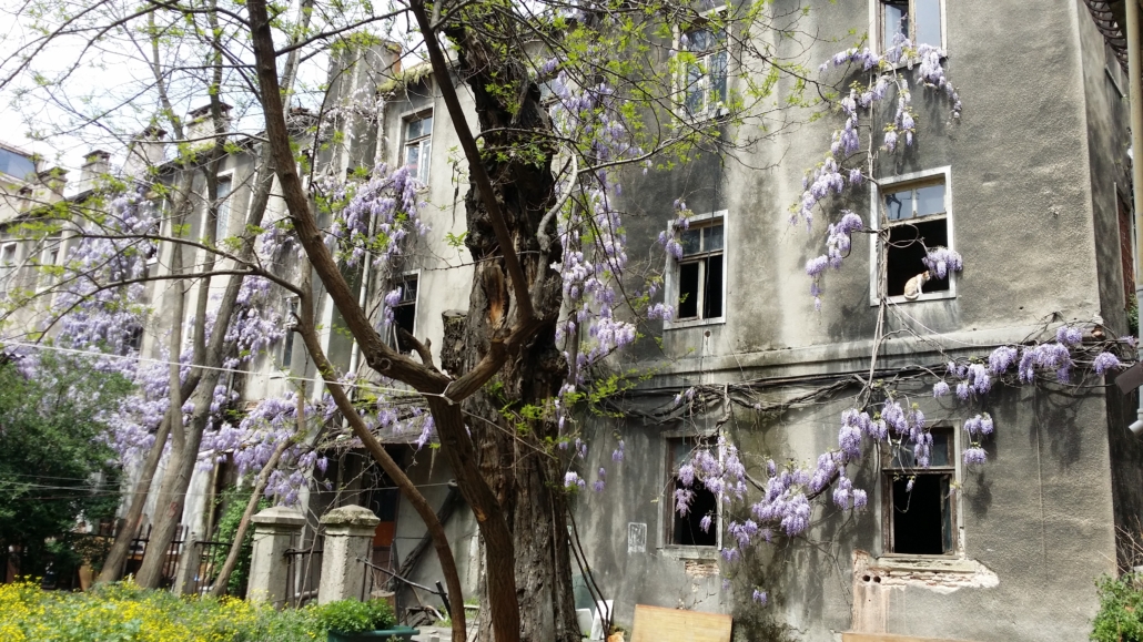 2016-Beyoglu-NarmanliHan-AyseGulAltinay-2