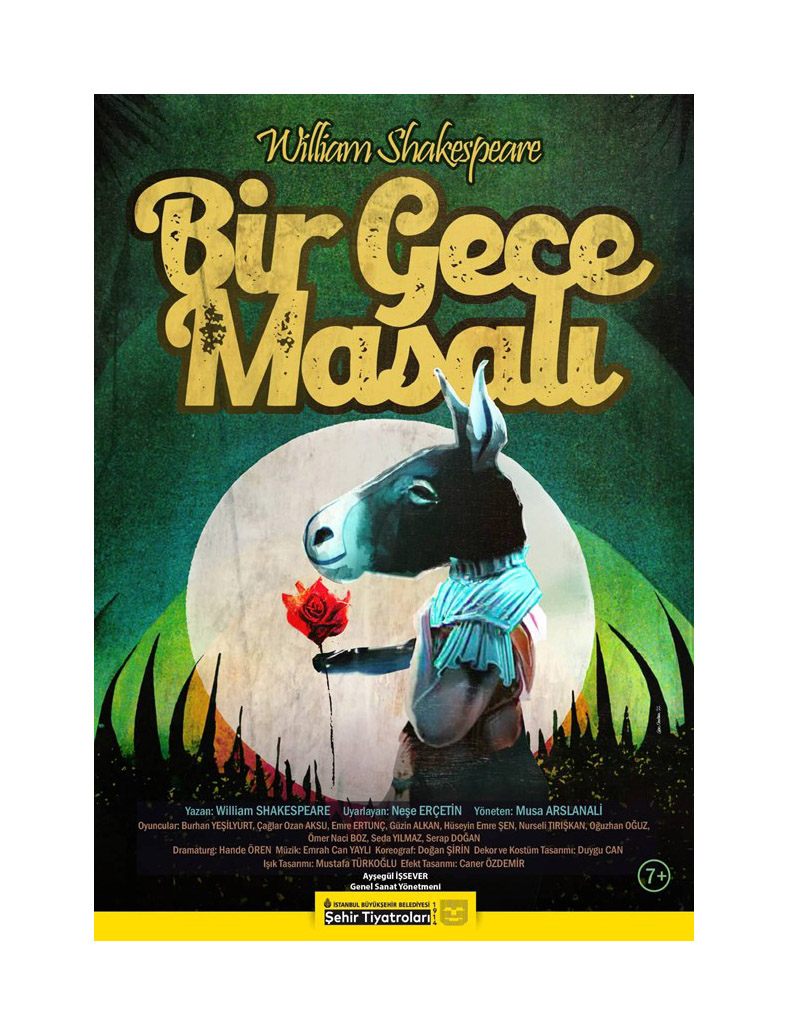 Bir Gece Masalı